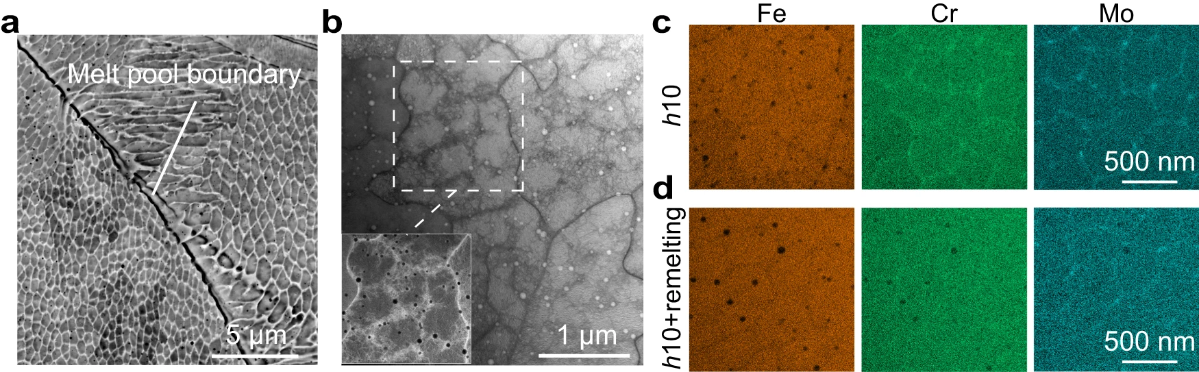 南洋理工大学和剑桥大学研究人员使用新方法定制3D打印金属特性