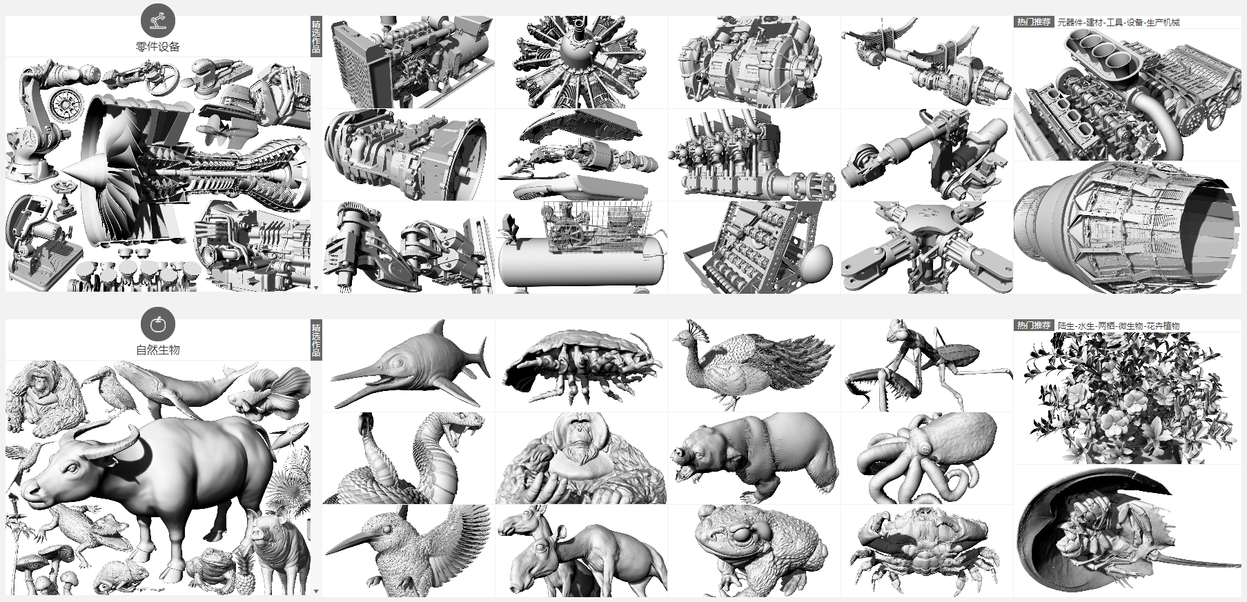 3D小白模型网