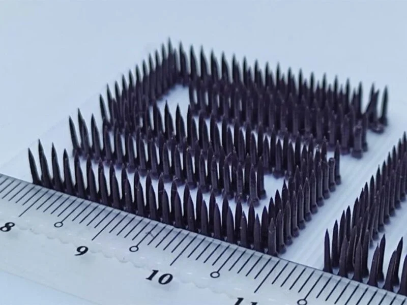 新加坡科技设计大学 (SUTD) 利用慢固化材料3D打印复杂的仿生结构